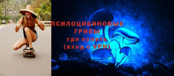 PSILOCYBIN Баксан
