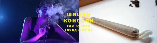 трава Балахна