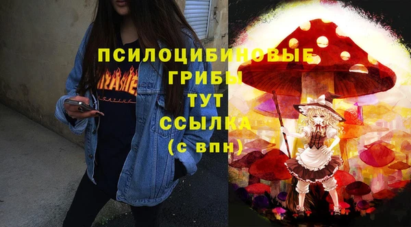PSILOCYBIN Баксан