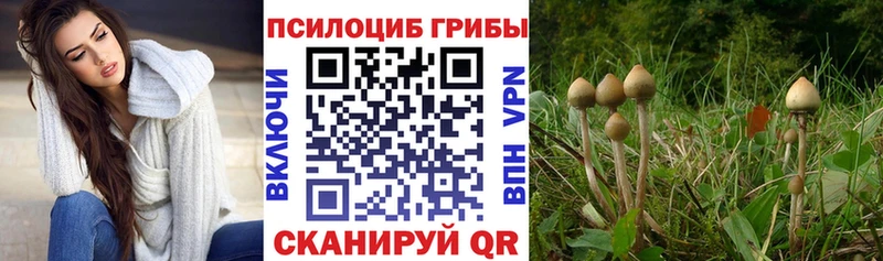 магазин продажи наркотиков  МЕГА ONION  Псилоцибиновые грибы MAGIC MUSHROOMS  Лихославль 